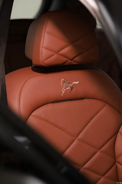 &laquo;Божественная лошадь&raquo; от BMW: представлен лимитированный BMW X5 в честь 2026 года